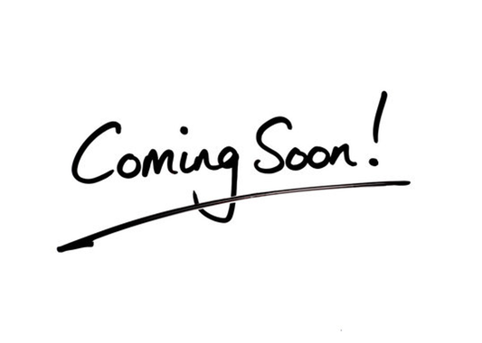 Sneaker Mobile Device Charger