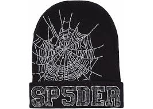 Sp5der Web Beanie