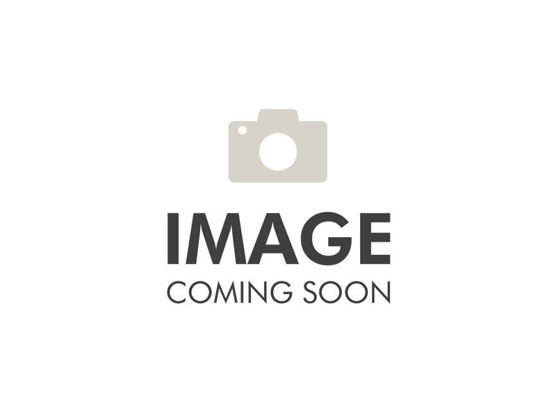 Jordan 1 Low SE White Legend Blue