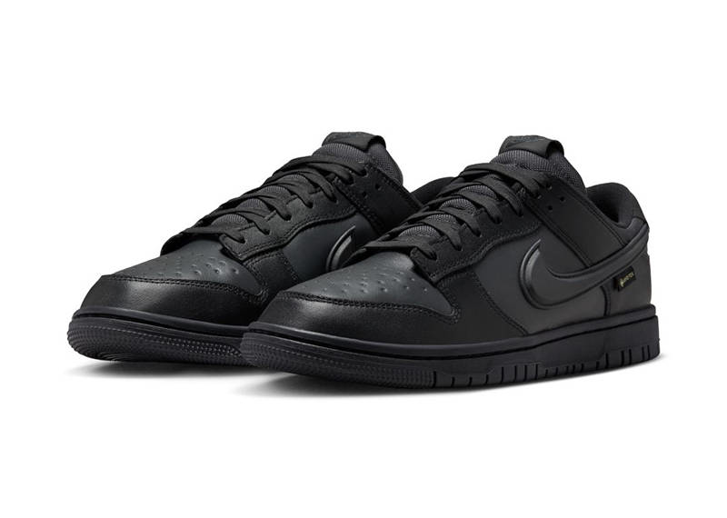 Gore-Tex x Nike Air Dunk low Black