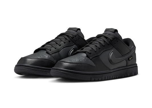 Gore-Tex x Nike Air Dunk low Black