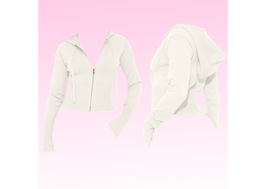 The Everyday Cropped Zip Up Hoodie