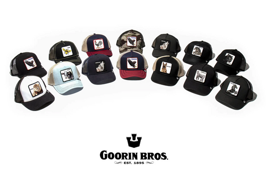 Goorin Bros Limited Release SnapBack